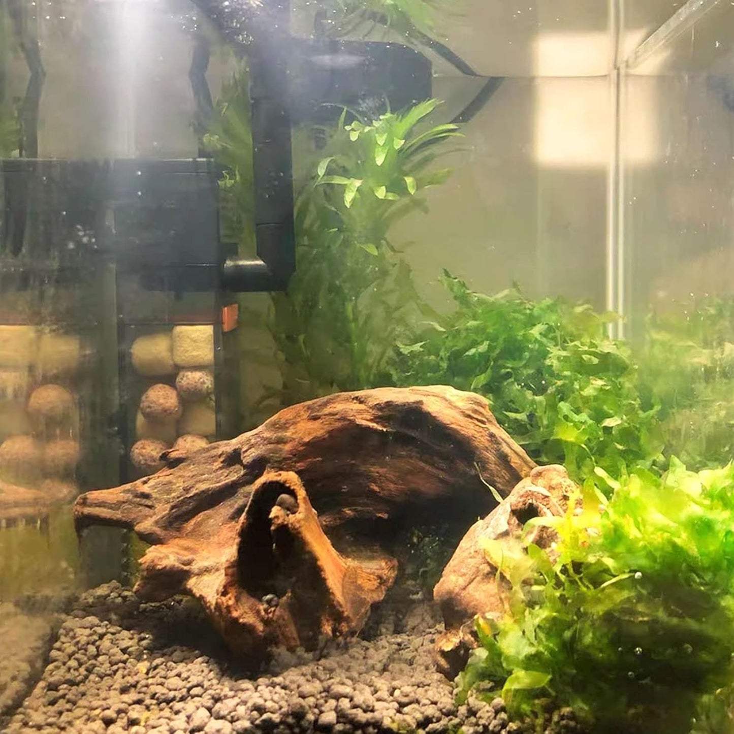 2 PCS Large Aquarium Driftwood, 7.5''-12''Natural Fish Tank Driftwood Assorted Branches Reptiles Drift Wood Decor Aquarium Wood Aquascaping Terrarium Ornament Habitat Accessories