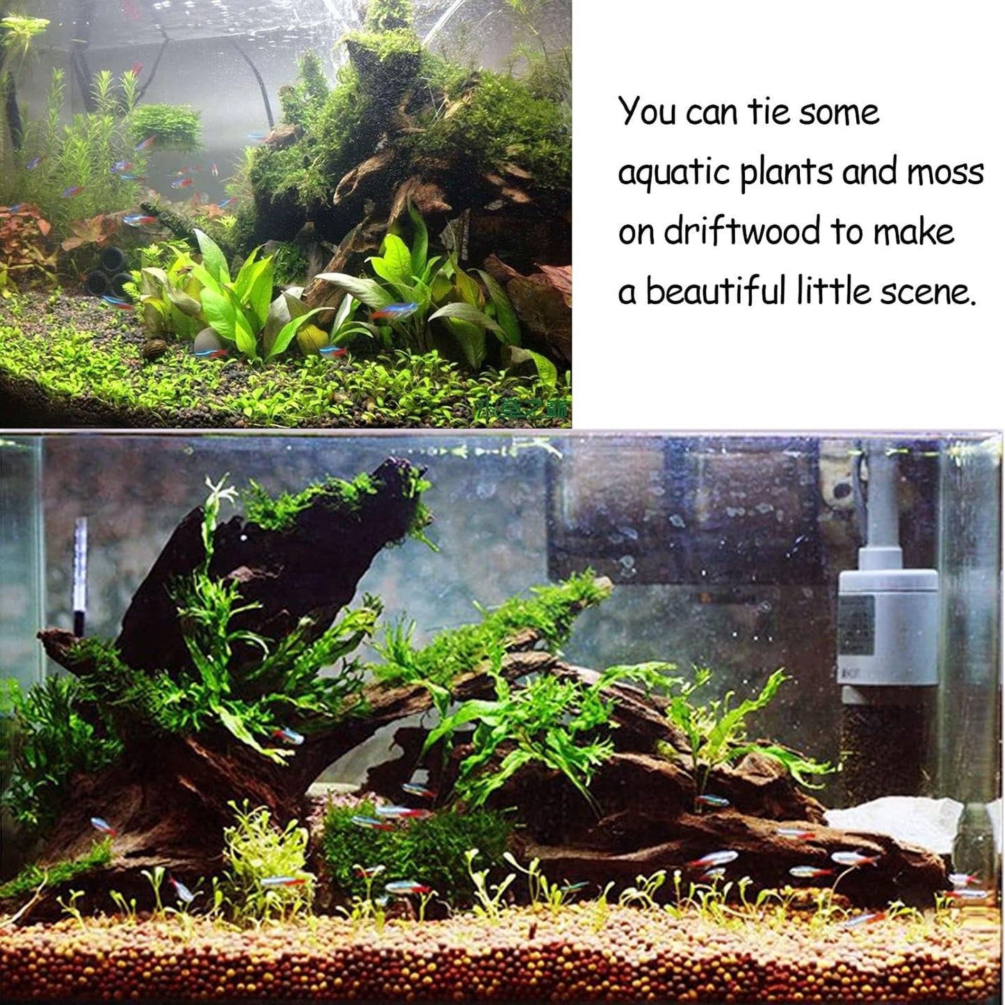 2 PCS Large Aquarium Driftwood, 7.5''-12''Natural Fish Tank Driftwood Assorted Branches Reptiles Drift Wood Decor Aquarium Wood Aquascaping Terrarium Ornament Habitat Accessories