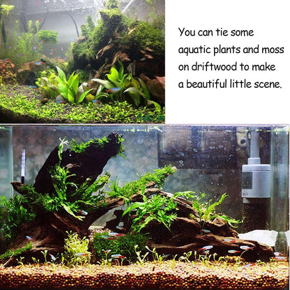 2 PCS Large Aquarium Driftwood, 7.5''-12''Natural Fish Tank Driftwood Assorted Branches Reptiles Drift Wood Decor Aquarium Wood Aquascaping Terrarium Ornament Habitat Accessories