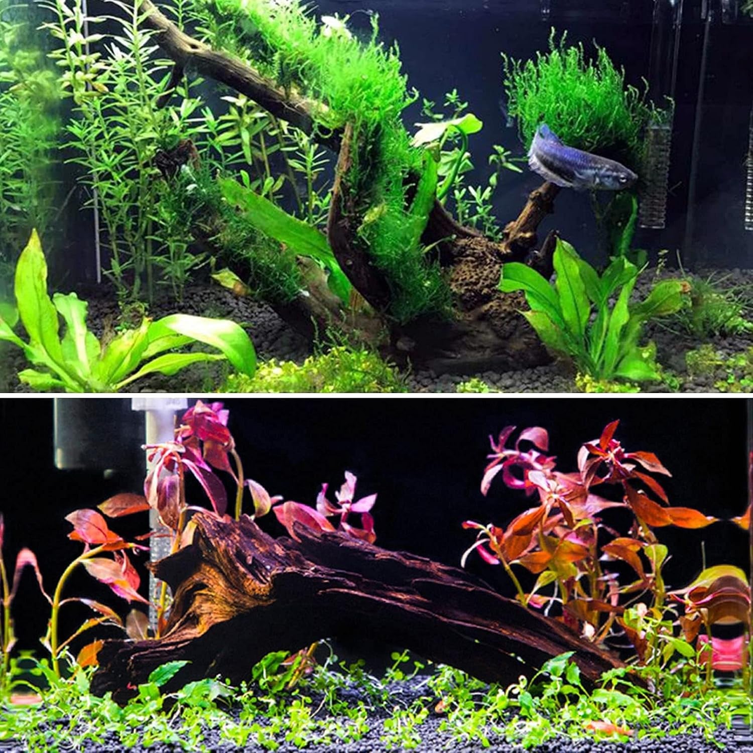 2 PCS Large Aquarium Driftwood, 7.5''-12''Natural Fish Tank Driftwood Assorted Branches Reptiles Drift Wood Decor Aquarium Wood Aquascaping Terrarium Ornament Habitat Accessories