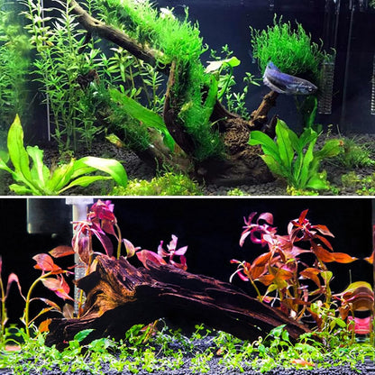 2 PCS Large Aquarium Driftwood, 7.5''-12''Natural Fish Tank Driftwood Assorted Branches Reptiles Drift Wood Decor Aquarium Wood Aquascaping Terrarium Ornament Habitat Accessories